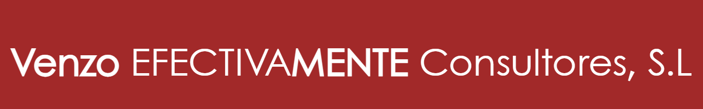 Venzo Efectivamente Consultores